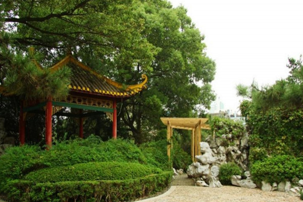 如何讓土地“變肥”，讓樹苗“夠吃”？