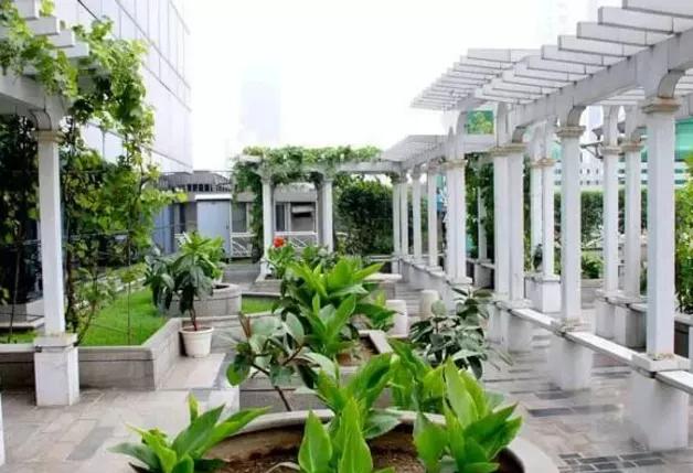 湖北凱蒂園林告訴你園林綠化工程主要包含哪些內(nèi)容？