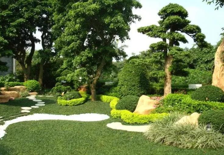 園林景觀設(shè)計(jì)之植物墻設(shè)計(jì)在哪些地方適合？